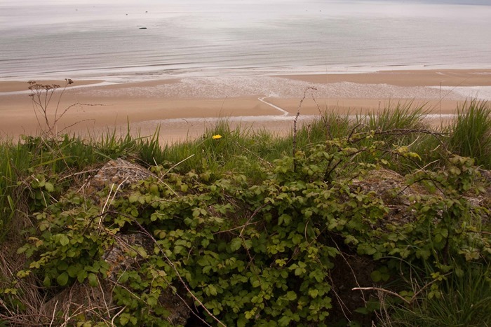 2009 05 02 Omaha Beach  (42)