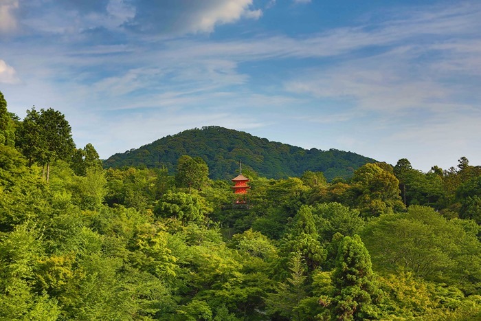 2013 06 17 Kiyomizu Temple _-41