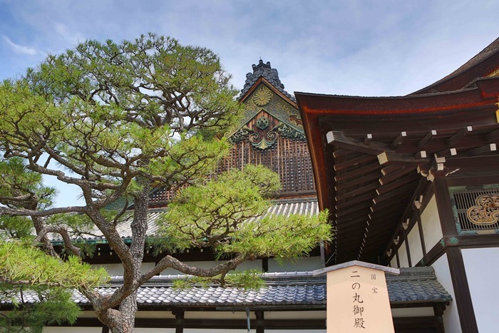 2013 06 17 Nijo Castle _-45