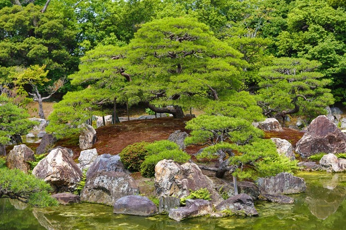 2013 06 17 Nijo Castle _-52