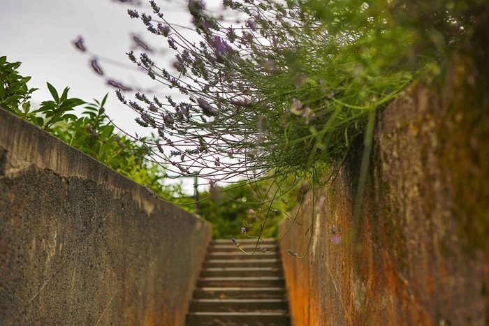 2013 07 19 Open Air Museum_-46