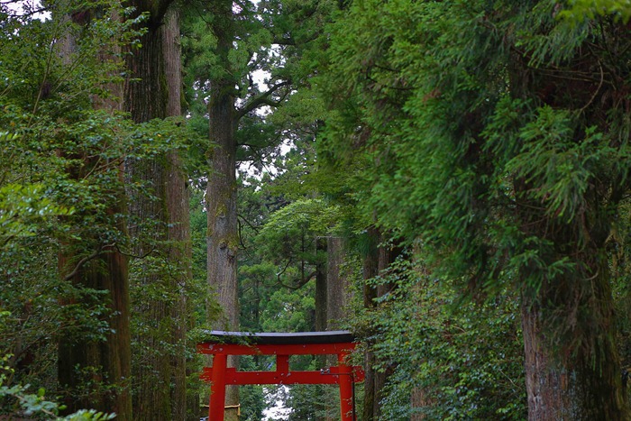 2013 07 20 Hakone Shrine_-20
