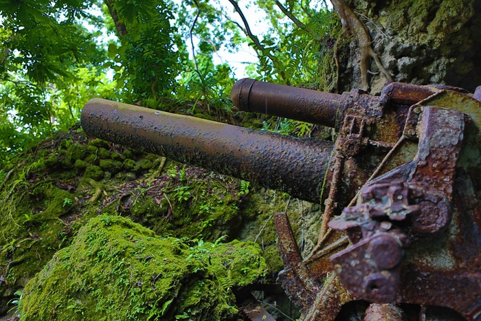 2013 07 31 Peleliu Japanese artillery_-11