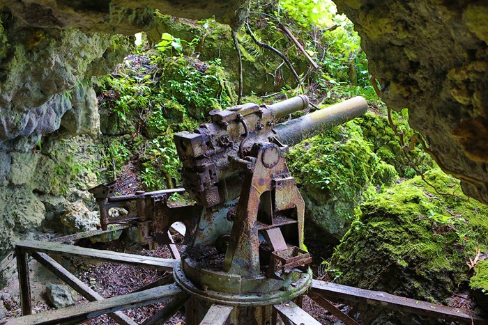 2013 07 31 Peleliu Japanese artillery_-7