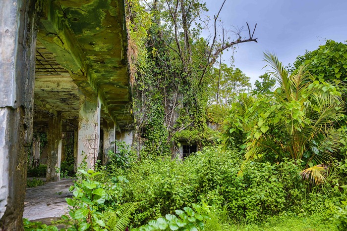 2013 07 31 Peleliu Japanese HQ_-31