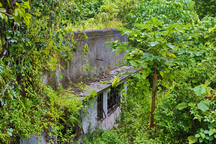 2013 07 31 Peleliu Japanese HQ_-41