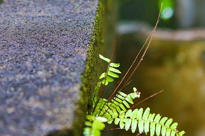 2013 07 31 Peleliu Japanese HQ_-43