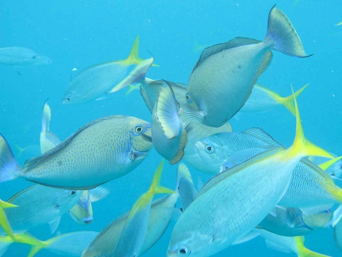 2013 07 29 Palau _ 2013 07 29 Palau _