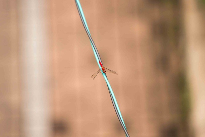 2013 10 06 Shibuya_-7