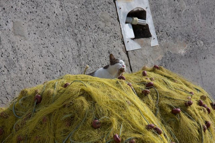 2008 Oct 23 Plaka Crete  (39)