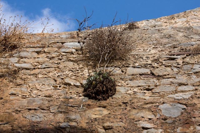 2008 Oct 23 Spinalonga Island Crete  (39)