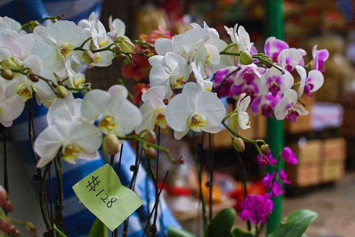 2013 04 10 Hong Kong _-14