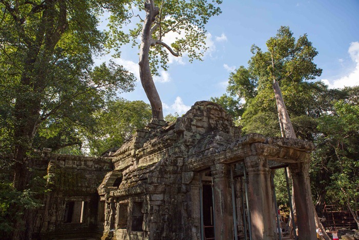 2013 11 24 Ta Prohm_-63