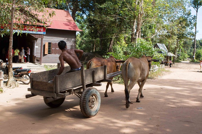 2013 11 25 Phnom Kulen_-90