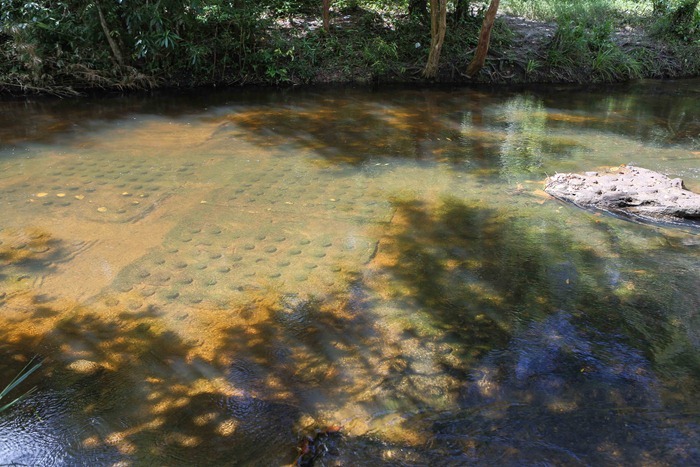 2013 11 25 1000 siva lingas_-2