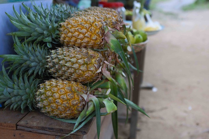 2013 11 25 Phnom Kulen_-22