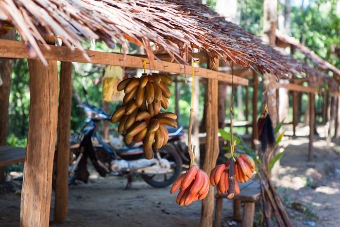 2013 11 25 Phnom Kulen_-89