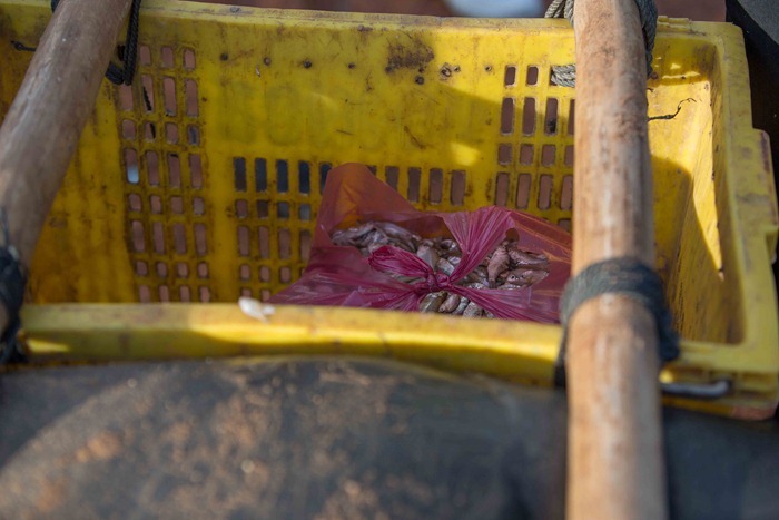 2013 11 26 Cambodia_-21