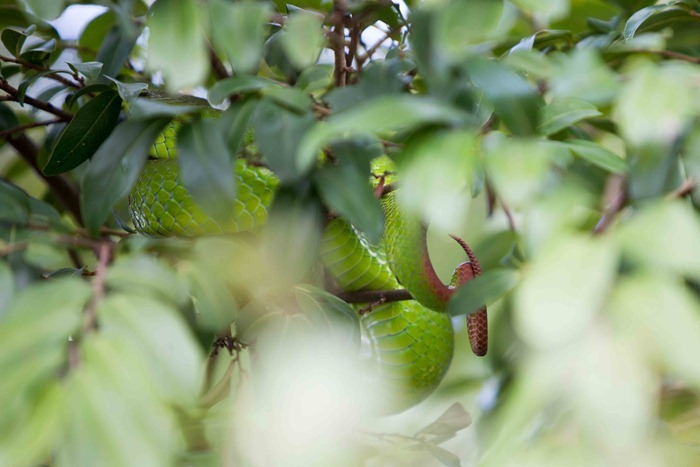 2013 11 26 Osmose_-75