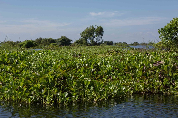 2013 11 26 Village tour_-51