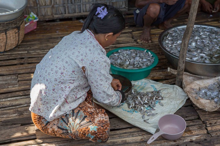 2013 11 26 Village tour_-58