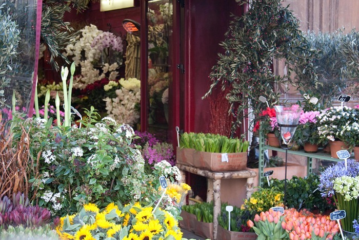 2008 Dec 28 Paris_-3