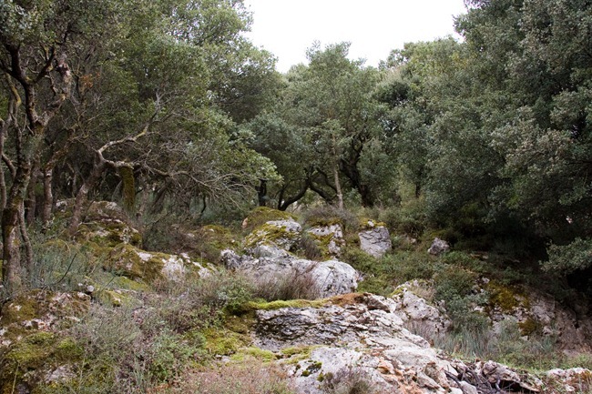 2008 Oct 24 Diktian Cave Crete (birthplace of Zeus)  (5)