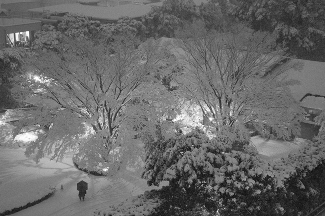 2014 02 14 Tokyo snow_-6