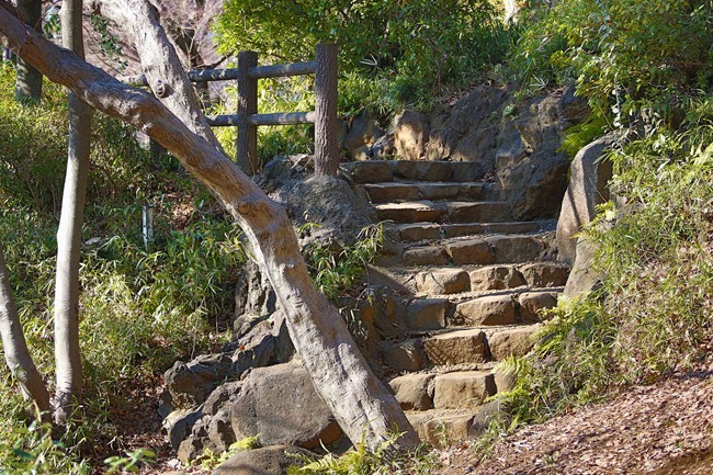 2014 02 22 Tokyo_-15