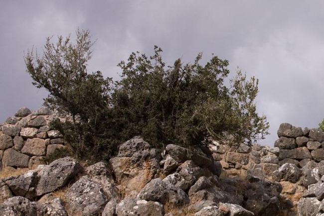 2008 Oct 22 Abandonded city of Lato Crete  (35)