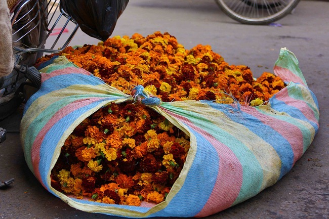 2013 12 24 Old Delhi-29-2