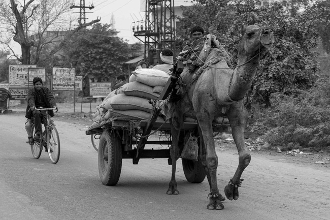 2013 12 27 Agra to Jaipur_-33