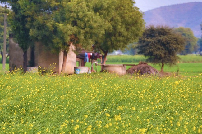 2013 12 27 Agra to Jaipur_-8