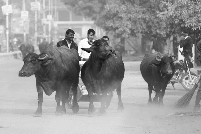 2013 12 27 Agra to Jaipur_
