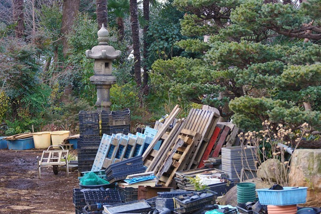 2014 01 25 Chofu_-64