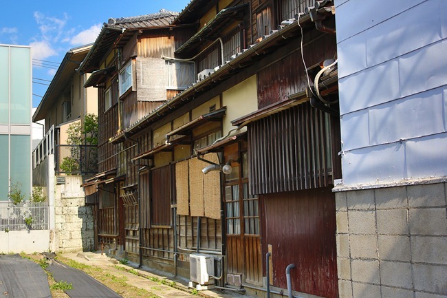 2014 04 05 Sakura_-12