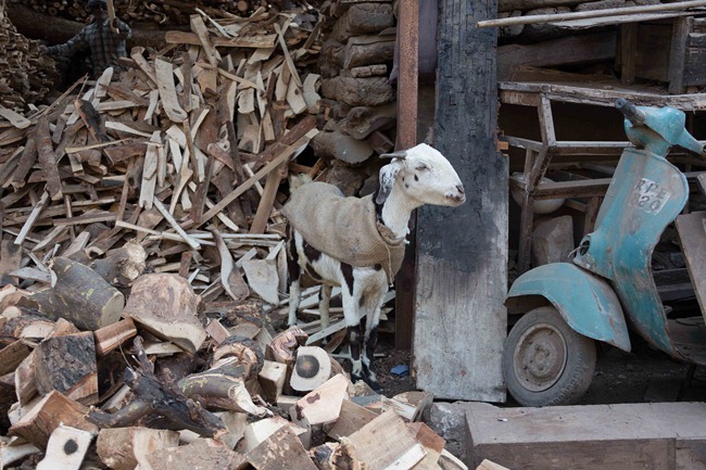 2013 12 28 Jaipur_-86