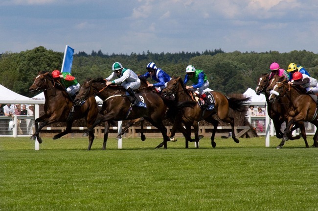 Ascot Ladies Day  2008 June 19  _MG_9689