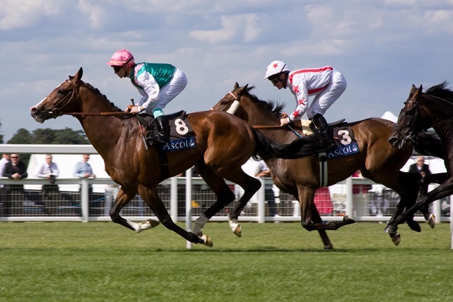 Ascot Ladies Day  2008 June 19  _MG_9734