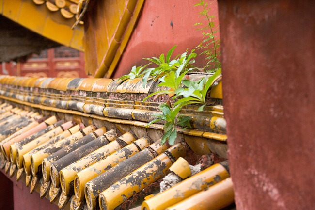 2014 06 17 Forbidden city_-46